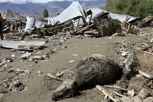 7_India_Floods.sff_300
