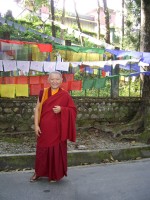 Rinpoche photo by Ani Karma Tsultrim
