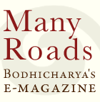 many-roads-button